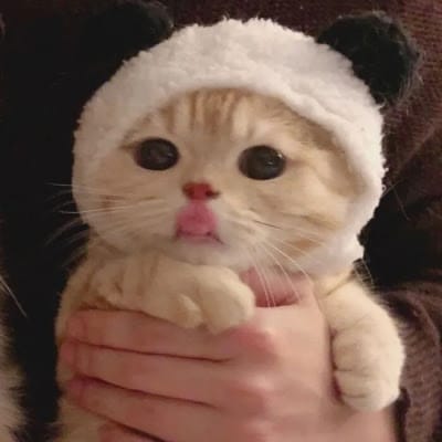 فراز احمد avatar